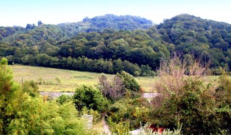 Вид из окна, частный дом Светлана, г. Сочи, Лазаревский район, п. Лоо