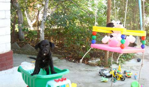 Детская площадка во дворе гостевого дома Елена, г. Геленджик