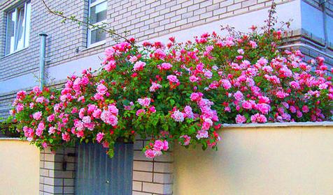 Мини-отель Водопад, г. Геленджик