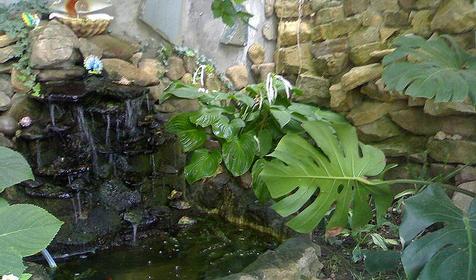 Во дворе мини-отеля Водопад, г. Геленджик