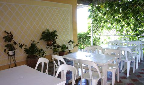 Территория. Гостевой дом Людмила, г. Геленджик, п. Архипо-Осиповка