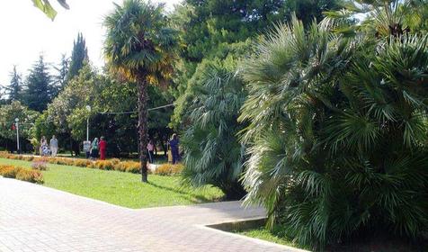 Парк культуры и отдыха, расположенный неподалеку от гостиницы Анюта, г. Сочи, п. Лазаревское