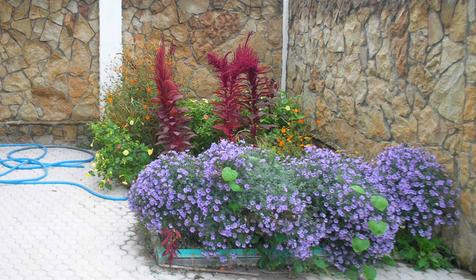 Внутренний дворик частной гостиницы Голубая Бухта, г. Геленджик