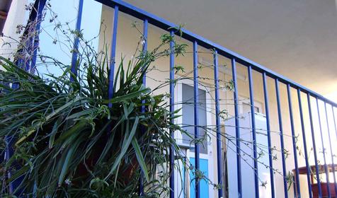 Гостевой дом Зеленый дворик, г. Геленджик