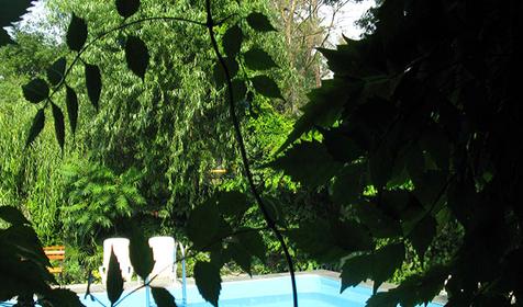 Бассейн. Мини-отель Изумрудный, г. Геленджик, п. Кабардинка