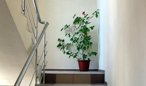 Гостевой дом На земляничной, г. Геленджик, с. Архипо-Осиповка