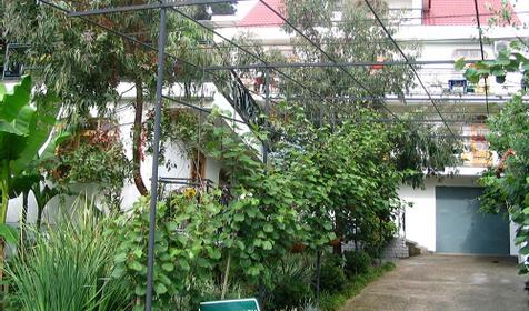 Гостиница Эвкалипт, Сочи, Лазаревский район, п. Лоо