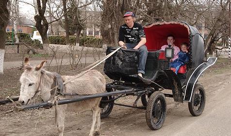 Фаэтон на территории базы отдыха Тавуш, Лабинский район, ст. Упорная