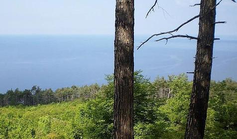 Побережье п. Джанхот