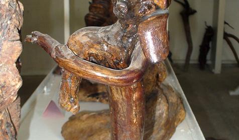 Экспонат выставки Причуды леса, частный дом Зеленый дворик, г. Туапсе, п. Джубга