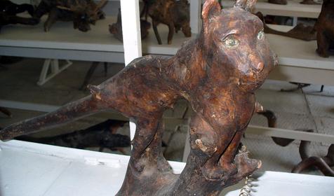 Экспонат выставки Причуды леса, частный дом Зеленый дворик, г. Туапсе, п. Джубга