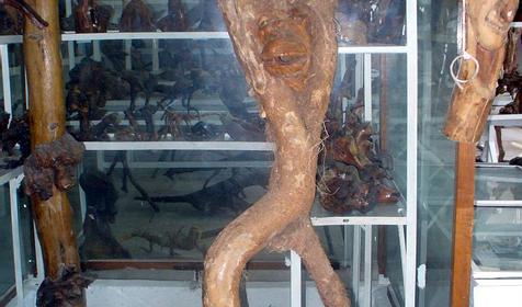 Экспонат выставки Причуды леса, частный дом Зеленый дворик, г. Туапсе, п. Джубга