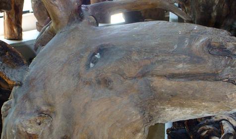 Экспонат выставки Причуды леса, частный дом Зеленый дворик, г. Туапсе, п. Джубга