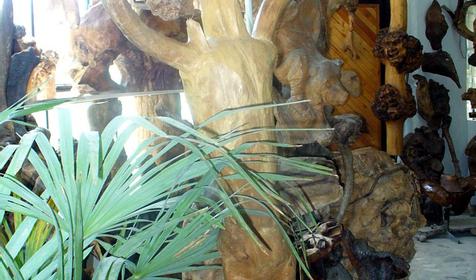 Экспонат выставки Причуды леса, частный дом Зеленый дворик, г. Туапсе, п. Джубга