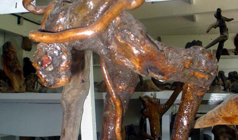 Экспонат выставки Причуды леса, частный дом Зеленый дворик, г. Туапсе, п. Джубга