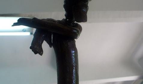 Экспонат выставки Причуды леса, частный дом Зеленый дворик, г. Туапсе, п. Джубга