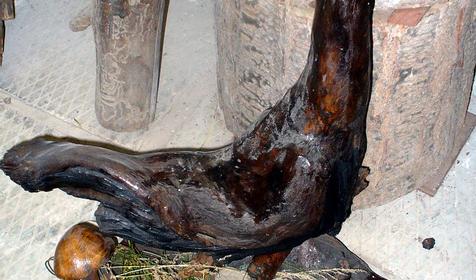 Экспонат выставки Причуды леса, частный дом Зеленый дворик, г. Туапсе, п. Джубга