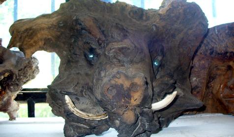 Экспонат выставки Причуды леса, частный дом Зеленый дворик, г. Туапсе, п. Джубга