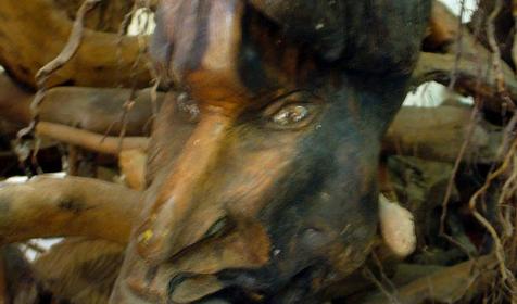 Экспонат выставки Причуды леса, частный дом Зеленый дворик, г. Туапсе, п. Джубга