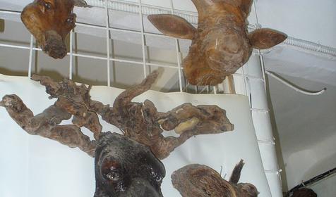 Экспонат выставки Причуды леса, частный дом Зеленый дворик, г. Туапсе, п. Джубга