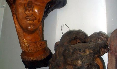 Экспонат выставки Причуды леса, частный дом Зеленый дворик, г. Туапсе, п. Джубга