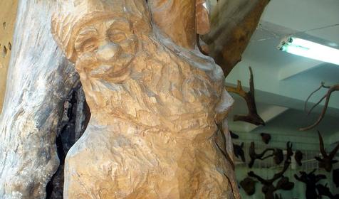 Экспонат выставки Причуды леса, частный дом Зеленый дворик, г. Туапсе, п. Джубга