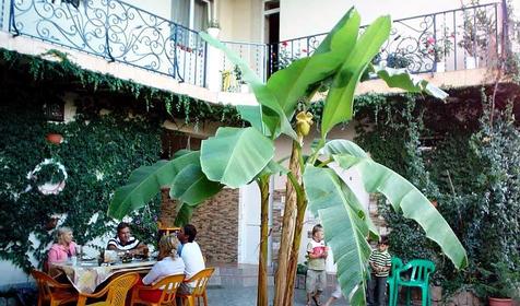 Зона отдыха, отель ЛЭНСиС, г. Сочи, Адлерский район, г. Адлер