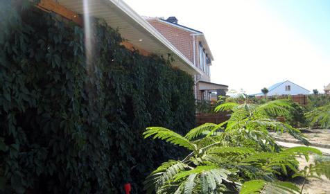 Веранда, Гостевой дом Бугазская коса, Темрюкский район, п. Веселовка