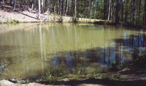 Пруд. Кемпинг Приют Монастыри, г. Геленджик, п. Возрождение
