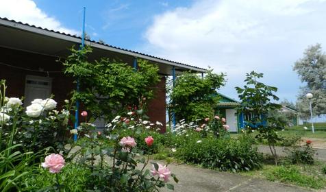 База отдыха Крымчанка, Темрюкский р-н, п. Пересыпь