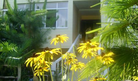 Вход в гостевой дом Зеленый дворик, г. Сочи, Адлер