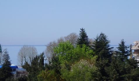 Вид из окна номера гостиницы Gemchsugina, г. Сочи, Лазаревский район, п. Лазаревское