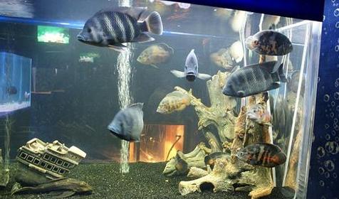 Океанариум Акулий Риф, г. Ейск