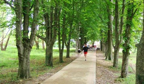 Дорога к морю от гостевого дома Кристина, г. Геленджик, с. Архипо-Осиповка