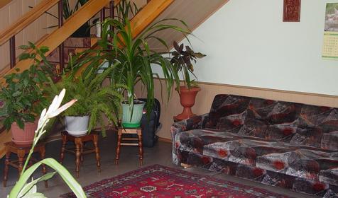 Гостевой дом Людмила, г. Анапа, п. Витязево