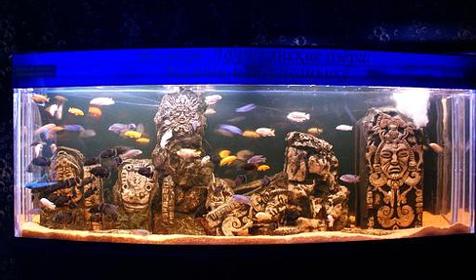 Океанариум Акулий Риф, г. Ейск