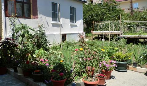 Частный гостевой дом Александр, г. Сочи, Лазаревский район, п. Лоо