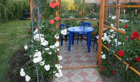 Территория, Отель Гавань, г. Ейск