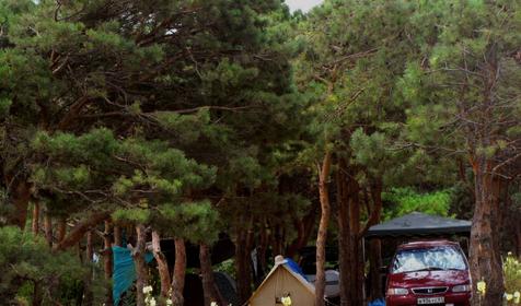 Автокемпинг Лесопарк Ейский, Ейский район, ст. Должанская, Коса Долгая