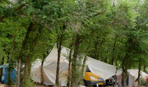 Автокемпинг Лесопарк Ейский, Ейский район, ст. Должанская, Коса Долгая