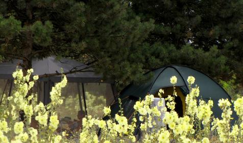 Автокемпинг Лесопарк Ейский, Ейский район, ст. Должанская, Коса Долгая