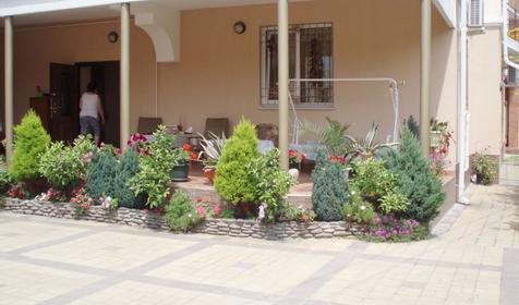 Территория. Мини-гостиница Аракс, г. Сочи, Адлер