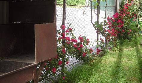 Мангал гостиницы Виноградная лоза, г. Сочи, п. Лазаревское