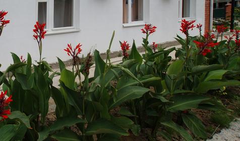 Гостиница Лето, г. Анапа, п. Сукко