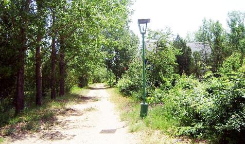 Аллея базы отдыха Южная, Ейский р-н, ст-ца Должанская