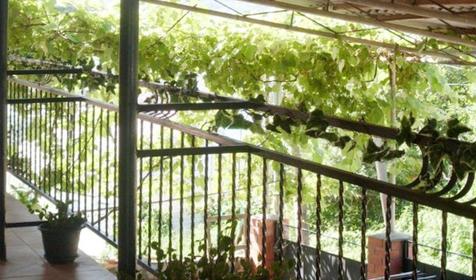 Балкон, Гостевой дом Анаида, г. Сочи, Лазаревский район, п. Лоо