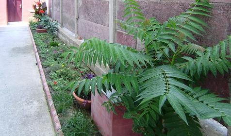 Гостевой дом Apple (Яблоко), Геленджик, Тонкий мыс