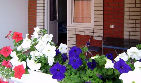 Гостевой дом Натали, Геленджик