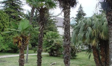 Территория, Гостиница Gemchsugina, г. Сочи, Лазаревский район, п. Лазаревское