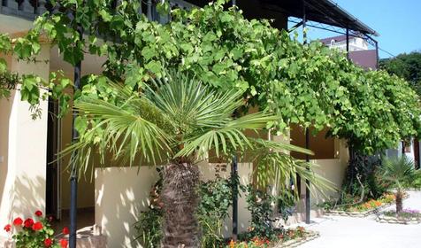 Гостевой дом Лика-Ника, г. Сочи, Лазаревский район, п. Лоо